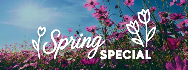 Spring special banner